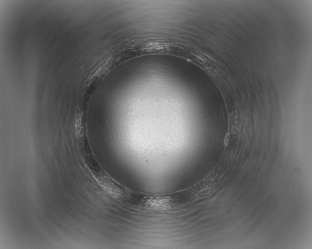 X0000054380560200508270010