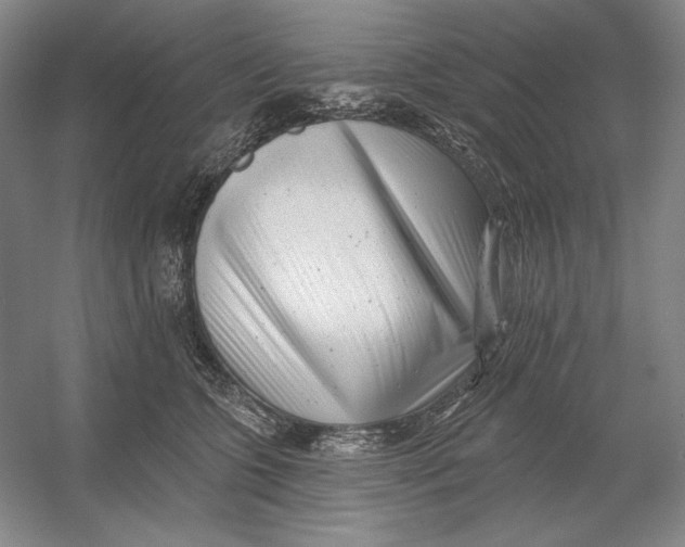 X0000054380563200508270010