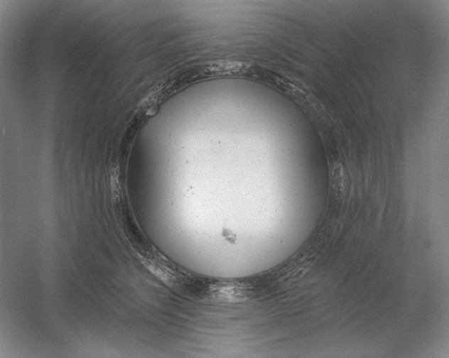 X0000054380564200508270010