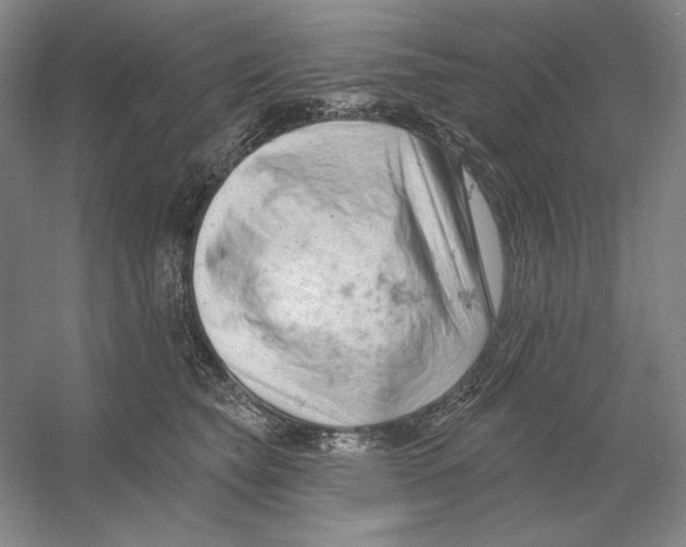 X0000054380565200508270010