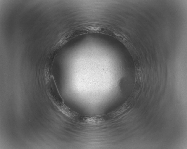 X0000054380568200508270010