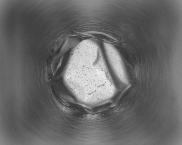 X0000054380570200508270010