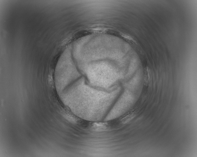 X0000054380573200508270010