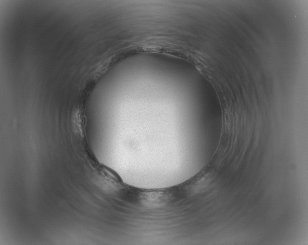 X0000054380575200508270011