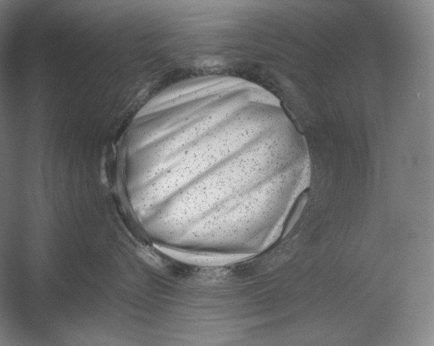 X0000054380576200508270011