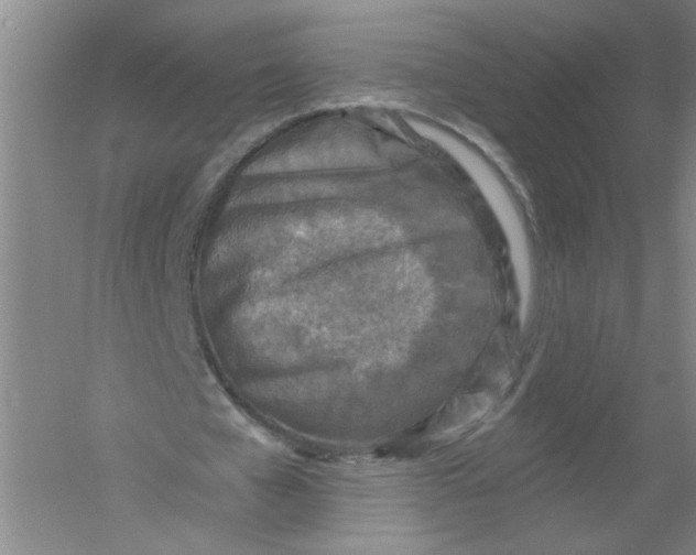 X0000054380577200508270010