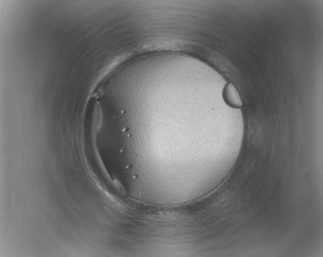 X0000054380578200508270010