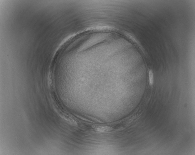 X0000054380579200508270010