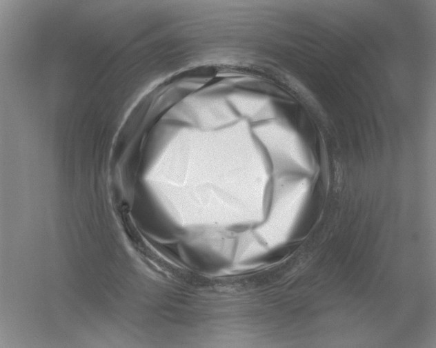 X0000054380580200508270010