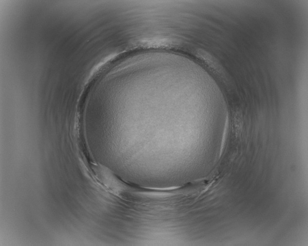 X0000054380583200508270010