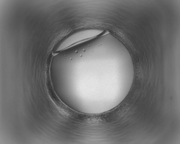 X0000054380586200508270010