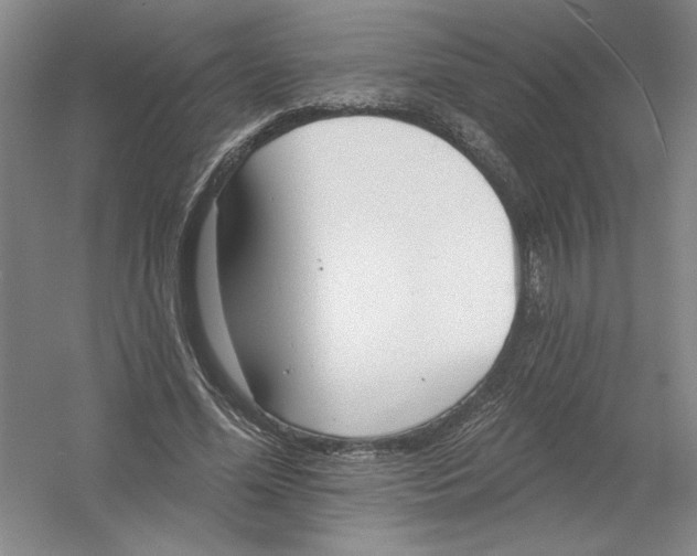 X0000054380588200508270010