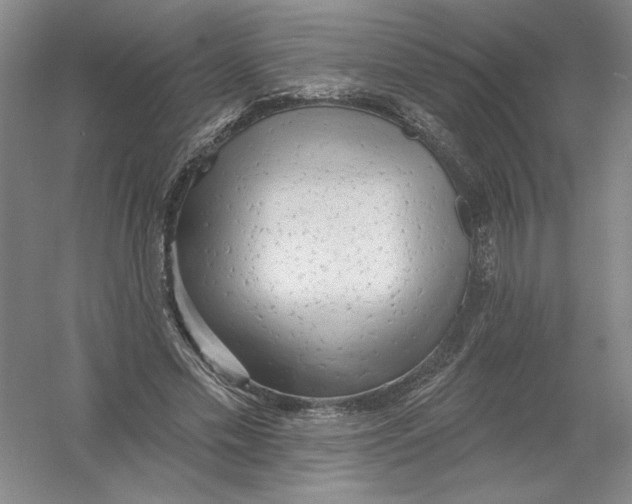 X0000054380589200508270009