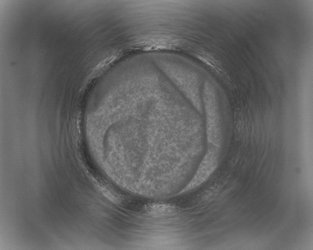 X0000054380590200508270009