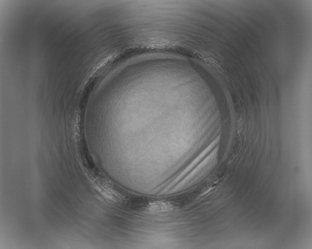 X0000054380591200508270009