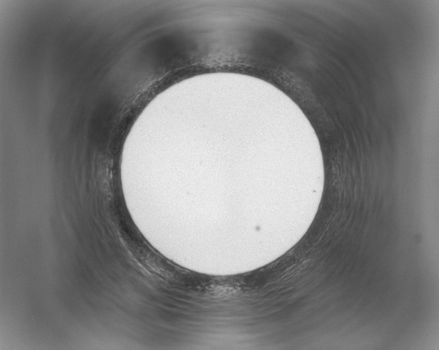 X0000054380592200508270009