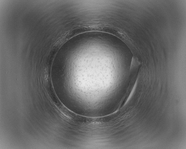 X0000054380593200508270009