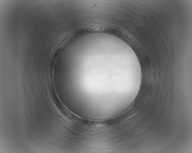 X0000054380594200508270009