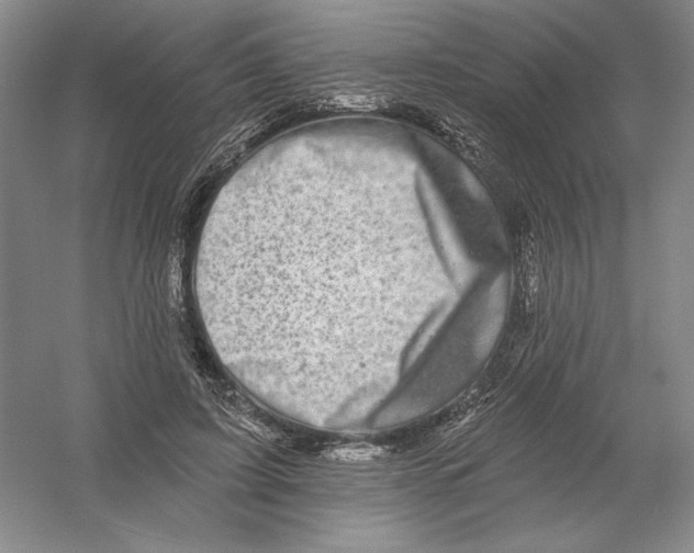 X0000054380595200508270009