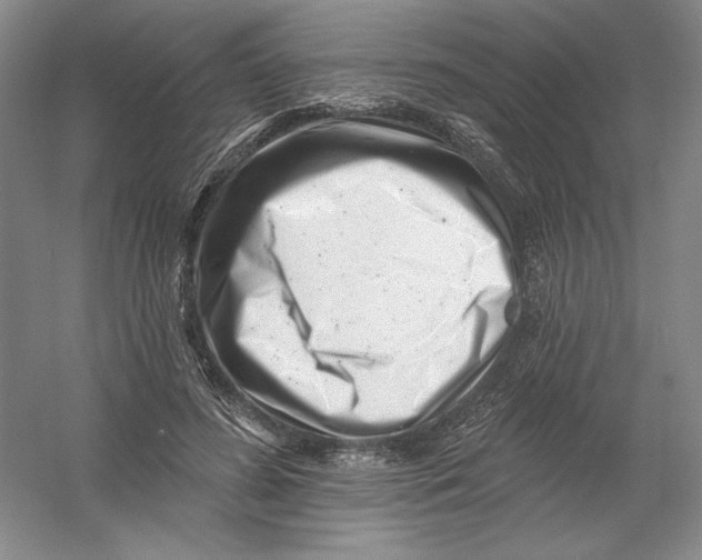 X0000054380596200508270009