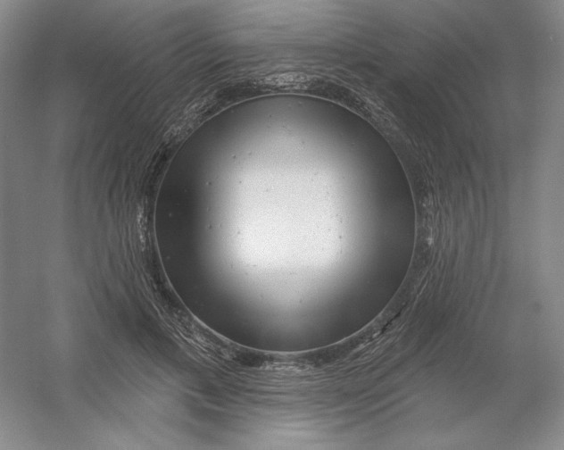 X0000054380597200508270009