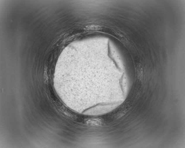 X0000054380599200508270009