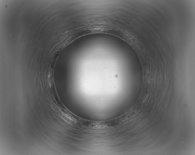 X0000054380601200508270009