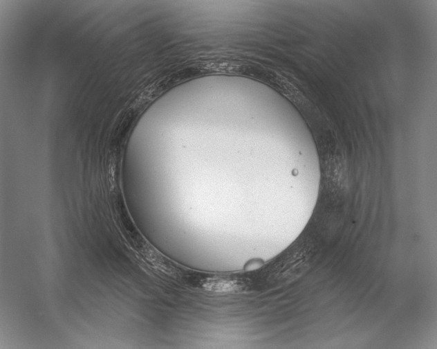 X0000054380602200508270009