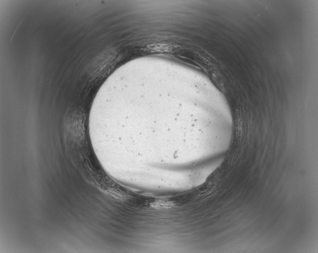 X0000054380603200508270009