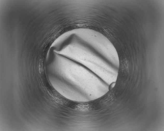 X0000054380606200508270009