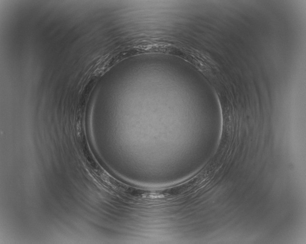 X0000054380607200508270009