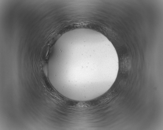 X0000054380608200508270009