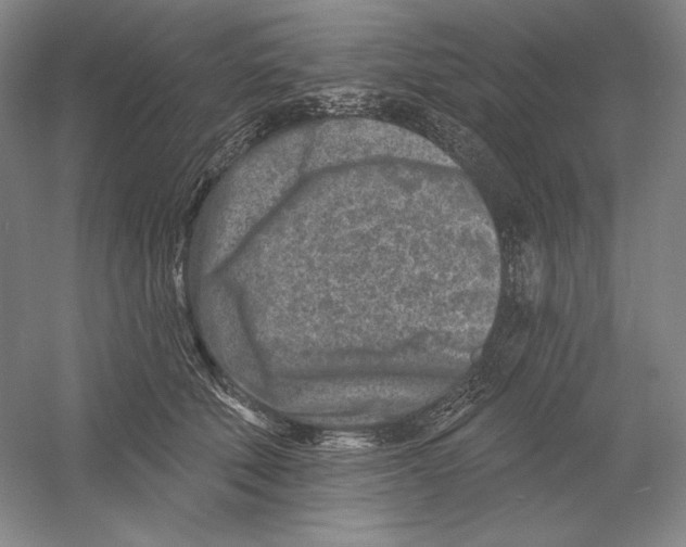 X0000054380610200508270009