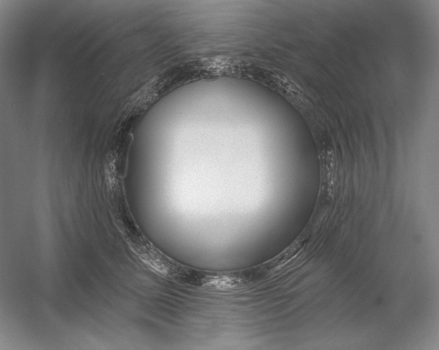 X0000054380611200508270009