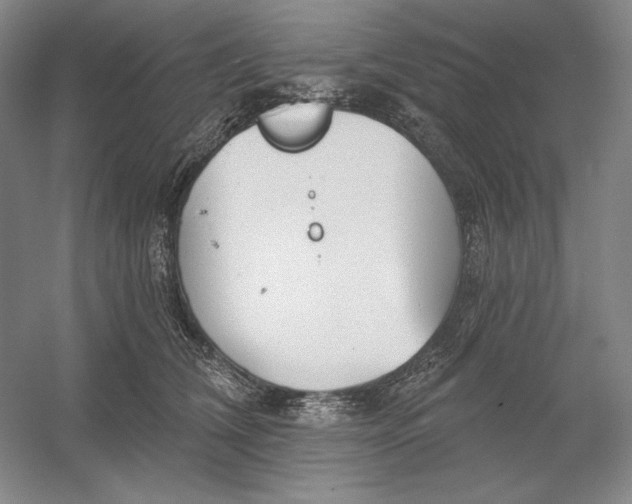 X0000054380612200508270009