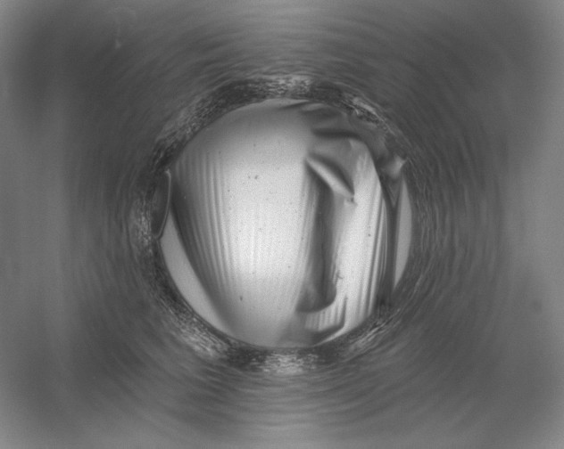 X0000054380613200508270009