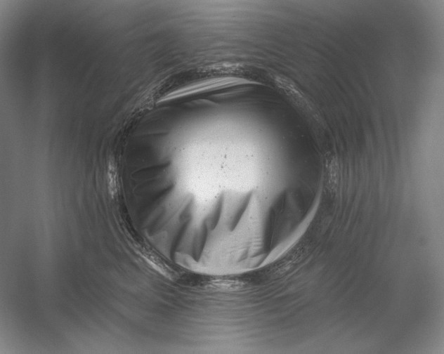 X0000054380617200508270009