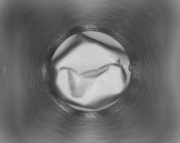 X0000054380618200508270009