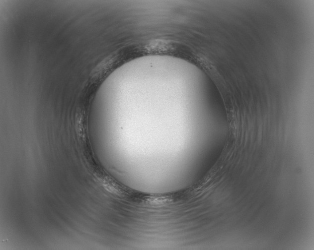 X0000054380619200508270009