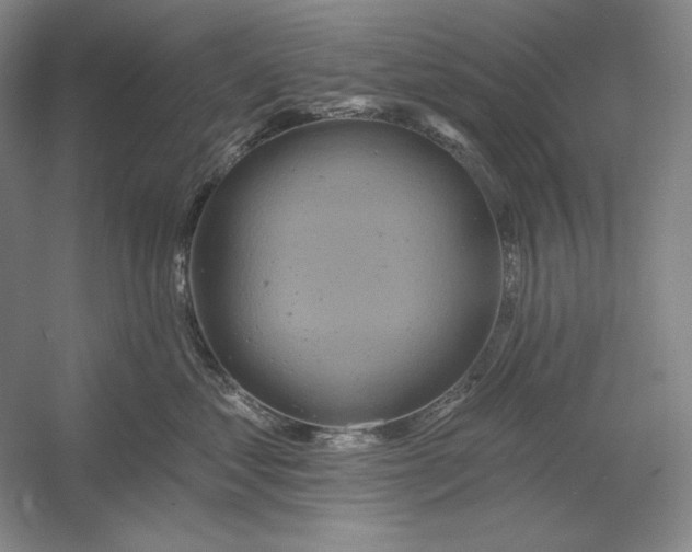 X0000054380621200508270009