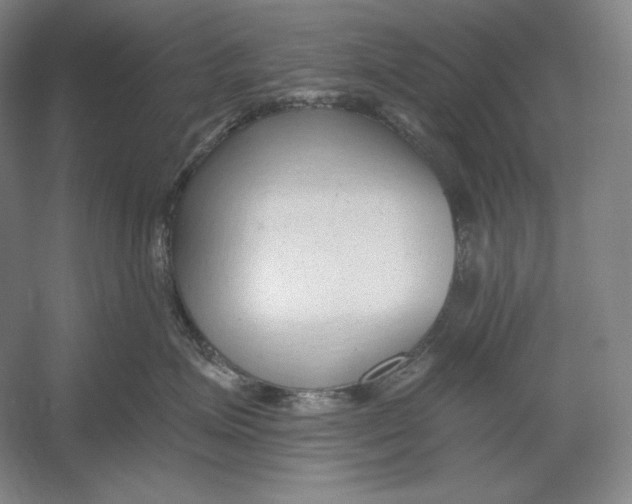 X0000054380623200508270009