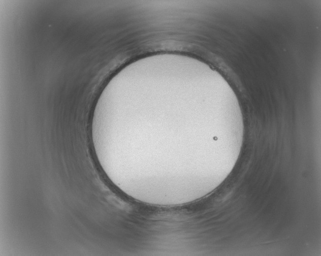 X0000054380625200508270008