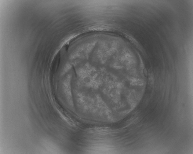 X0000054380626200508270008