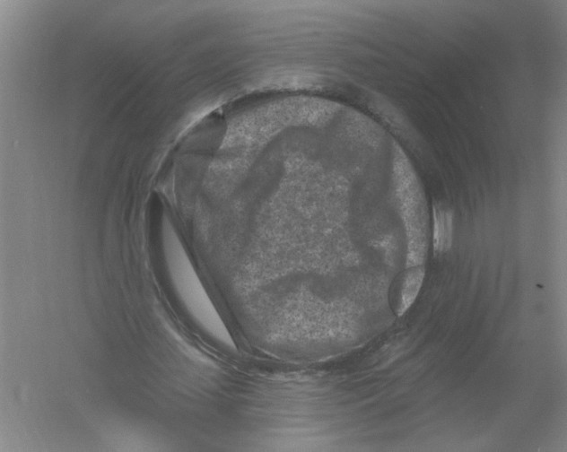 X0000054380627200508270008