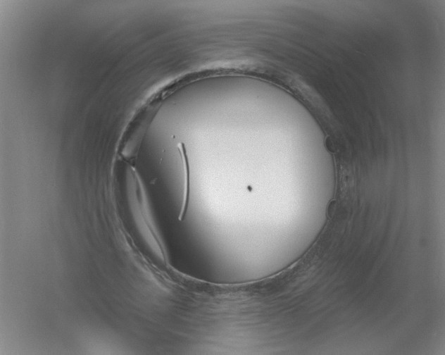 X0000054380628200508270008