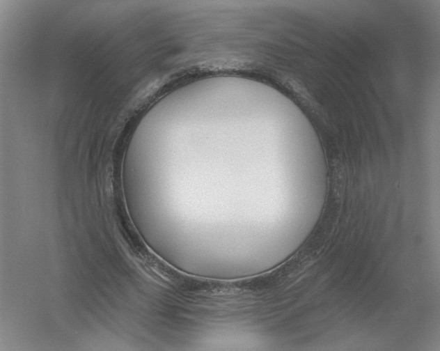 X0000054380631200508270008