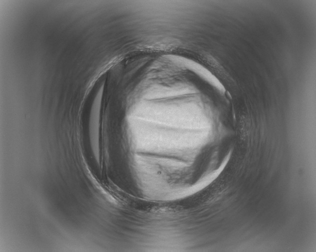 X0000054380634200508270008