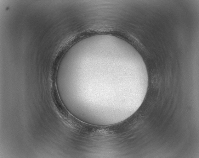 X0000054380635200508270008