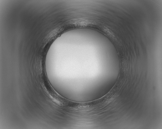 X0000054380638200508270008