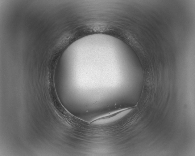 X0000054380639200508270008